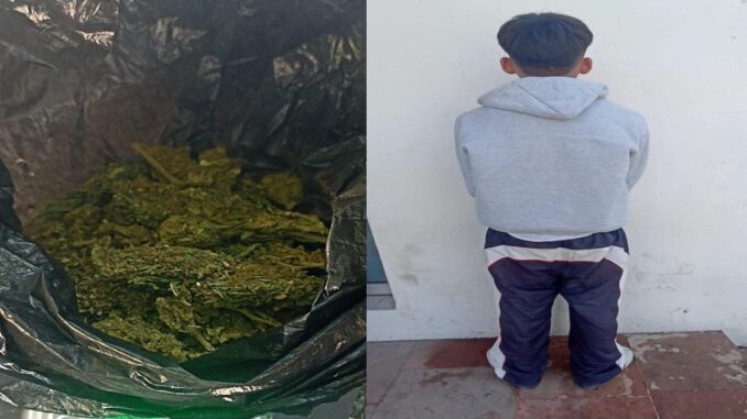 En posesión de aproximadamente 26 gramos de hierba verde seca con las características propias de la marihuana, Policías Municipales de Aguascalientes detienen a una persona a la altura del Centro Comercial Agropecuario