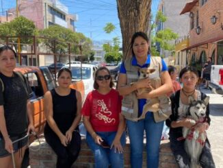 Abren Sede para el registro del Padrón Municipal de Mascotas en la Delegación Morelos