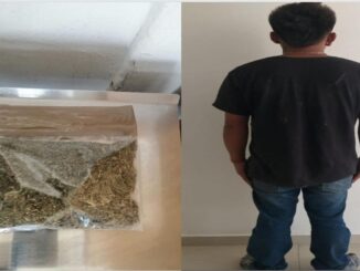 En posesión de aproximadamente 36 gramos de hierba verde seca con las características propias de la marihuana, Policías Municipales de Aguascalientes detienen a una persona en el fraccionamiento Alianza Ferrocarrilera