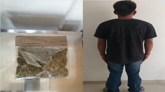 En posesión de aproximadamente 36 gramos de hierba verde seca con las características propias de la marihuana, Policías Municipales de Aguascalientes detienen a una persona en el fraccionamiento Alianza Ferrocarrilera