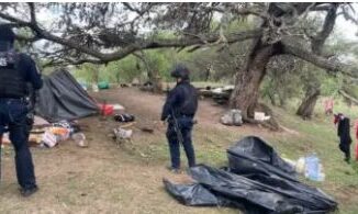 Detienen a 5 personas y desmantelan 'campamento delincuencial' en Zacatecas