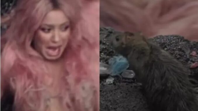 Shakira grita tras ver a rata durante grabación de 'Video vacía'