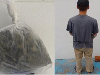 En posesión de aproximadamente 28 gramos de hierba verde seca con las características propias de la marihuana, Policías Municipales de Aguascalientes detienen a una persona en la colonia Insurgentes