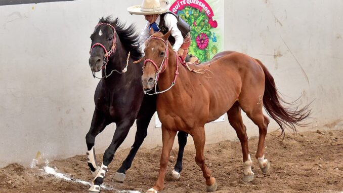 Este domingo abrirá el XXX Campeonato Nacional Infantil, Juvenil y de Escaramuzas 2023 en Aguascalientes