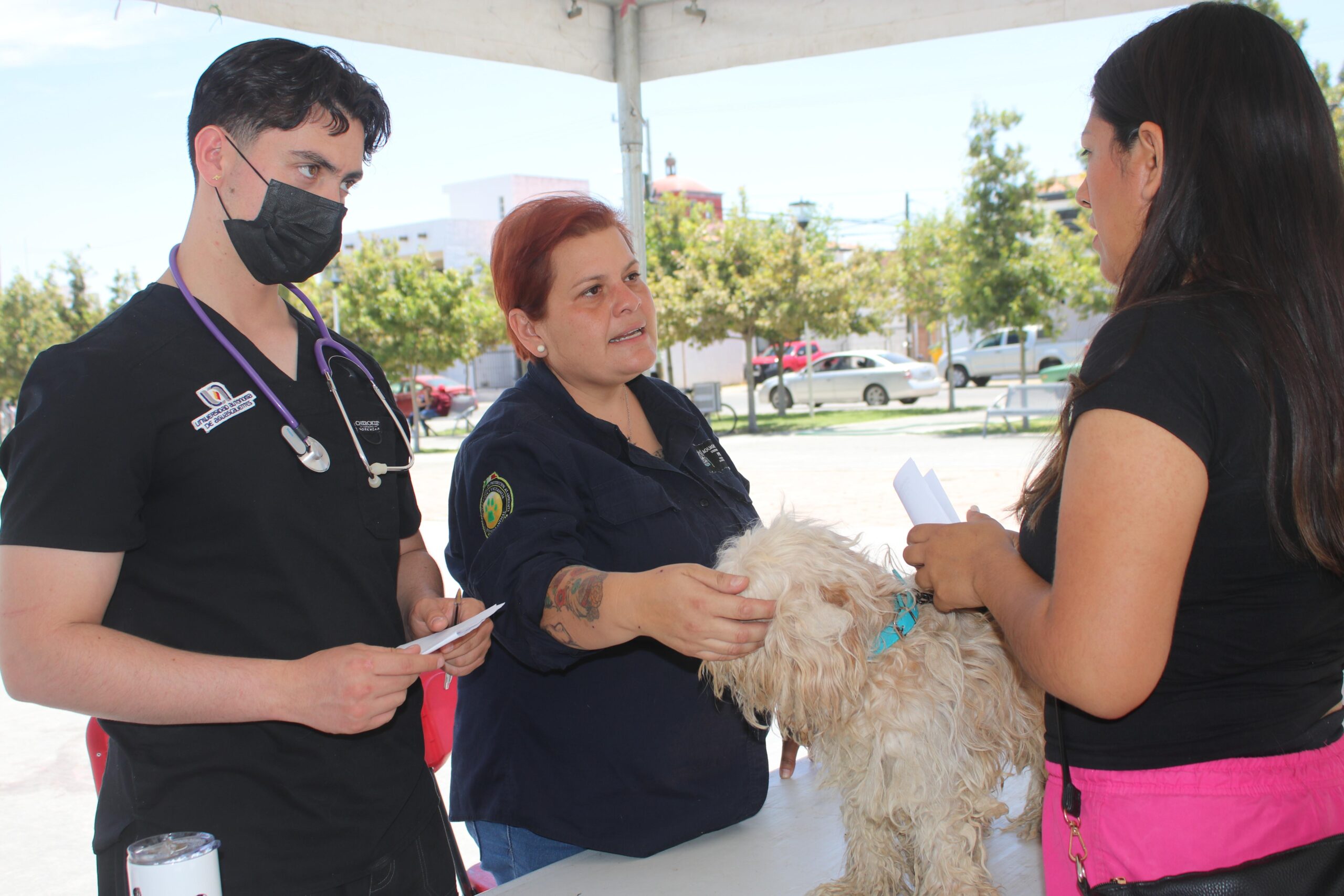 Asiste a la Caravana de la Salud canina y felina en Cosío