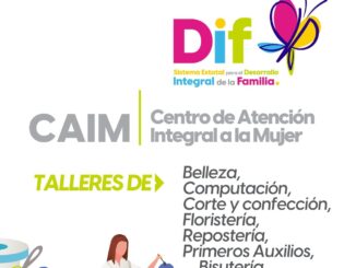 DIF estatal de Aguascalientes abre inscripciones a Talleres Gratuitos para Mujeres que deseen aprender