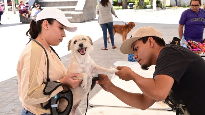 Anuncia PROESPA servicios veterinarios gratuitos en la comunidad El Malacate, este 28 de julio