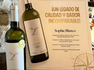 Visita Pabellón de Arteaga y disfruta del mejor vino, ganador de la Medalla de Oro a nivel mundial