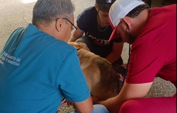 Avanzan acciones de esterilización de mascotas en Delegaciones Rurales del Municipio de Aguascalientes