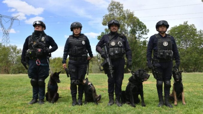 Se prepara nueva Generación K9 de la Policía Municipal de Aguascalientes
