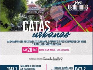 Catas Urbanas en Aguascalientes
