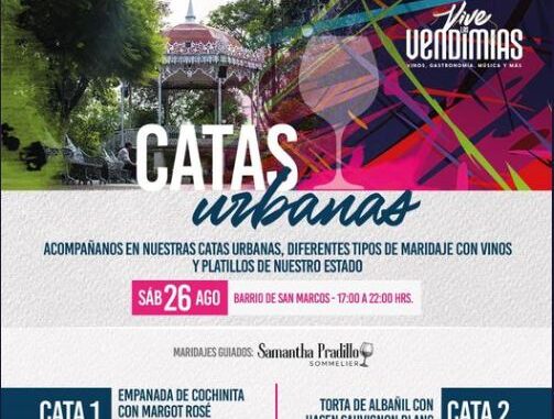Catas Urbanas en Aguascalientes