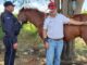 Un caballo que contaba con reporte de robo fue recuperado