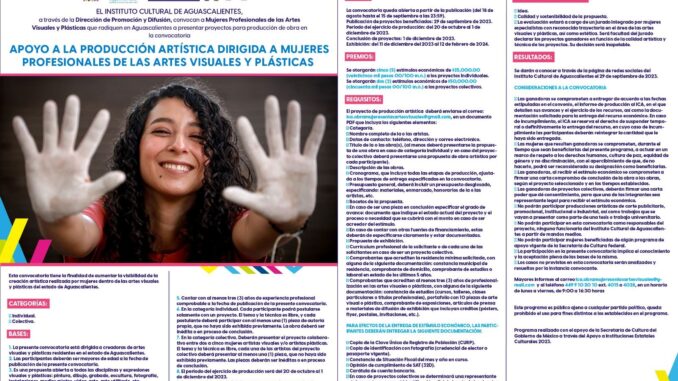 Abre ICA Convocatoria a Artistas visuales y plásticas