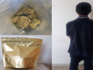 Oficiales de la Policía Municipal de Aguascalientes detienen a una persona en posesión de aproximadamente 27 gramos de marihuana, en el fraccionamiento Loma Dorada