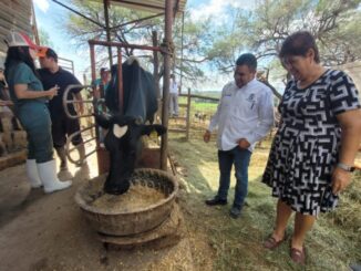 Inicia Municipio de Aguascalientes Jornadas de vacunación de ganado bovino y ovino
