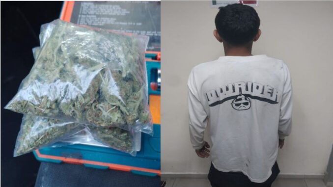En poder de aproximadamente 32 gramos de hierba verde al parecer marihuana fue detenido motociclista en calles aledañas del Centro Comercial Agropecuario tras su persecución