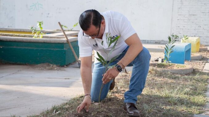 Diputado Max Ramírez continúa con programa: "Más árboles, Más vida-Plantando el futuro"