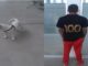 Luego de presuntamente robar un perro de la raza american pitbull y ser denunciado por la propietaria, Policías Municipales de Aguascalientes detienen a una persona en calles del fraccionamiento Municipio Libre