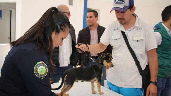 Este jueves en La Punta, Cosío, se ofrecerán Servicios gratuitos para las Mascotas