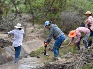 Anuncia Gobernadora Tere Jiménez trabajo temporal para Mujeres del Campo en Aguascalientes