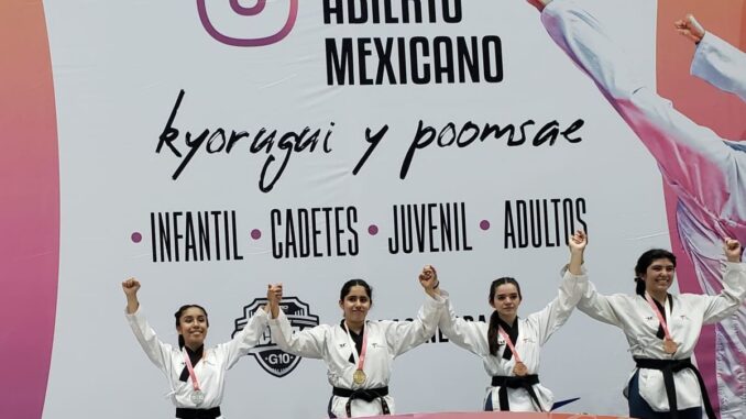 Jóvenes hidrocálidos lucen en Festival Nacional de Taekwondo
