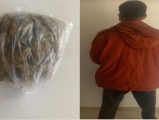 Con 32 gramos de hierba verde seca con las características propias de la marihuana, persona es detenida por oficiales de la Policía Municipal de Aguascalientes