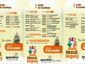 Asiste y participa en el Segundo Festival del Mezcal y Maguey