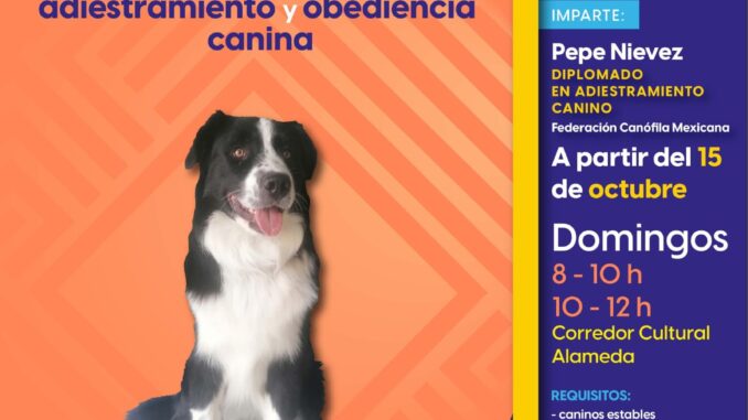 ICA invita al Curso de adiestramiento canino