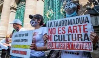 Juez ordena suspensión de corridas de toros en Guadalajara