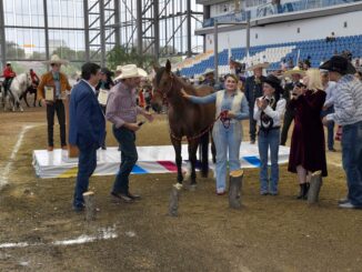 Recibe DIF Estatal donación de caballo para brindar Equinoterapia a niñas y niños con Discapacidad