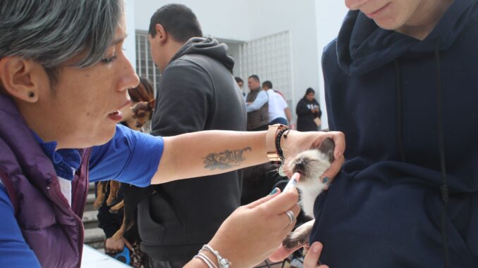 PROESPA llevará servicios veterinarios gratuitos a Pabellón de Arteaga