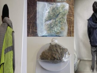 En hechos distintos, dos personas son detenidas por Policías Municipales de Aguascalientes, en posesión de hierba verde seca con las características propias de la marihuana