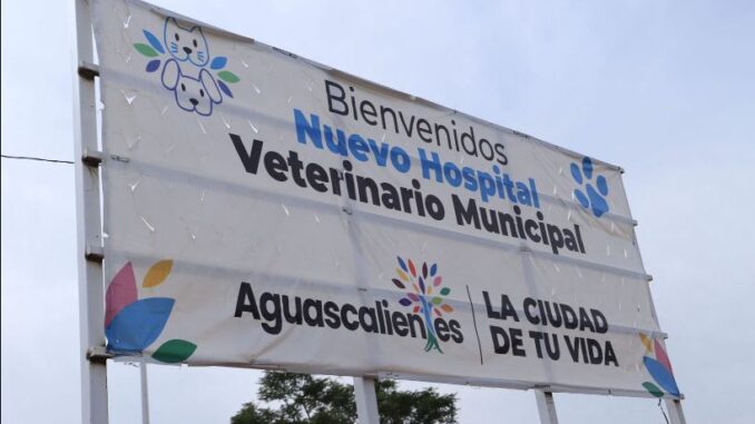 Reporta Municipio de Aguascalientes 85 por ciento de avance en la primera etapa del Hosìtal Veterinario