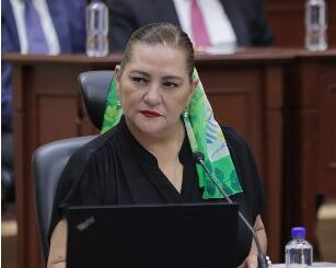 Consejera presidenta Guadalupe Taddei no logra consenso para propuestas a la Secretaría Ejecutiva del INE