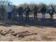 Madres buscadoras encuentran 30 fosas clandestinas en Sonora, norte de México