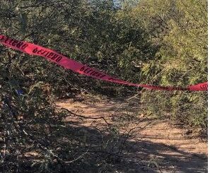 Suman 33 fosas con 56 cuerpos localizadas en Sonora