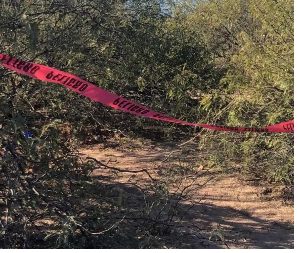Suman 33 fosas con 56 cuerpos localizadas en Sonora