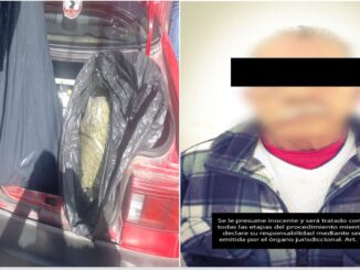 En poder de aproximadamente 11 kilos de hierba verde al parecer marihuana fue detenido un conductor del volante en el Ote. de la ciudad