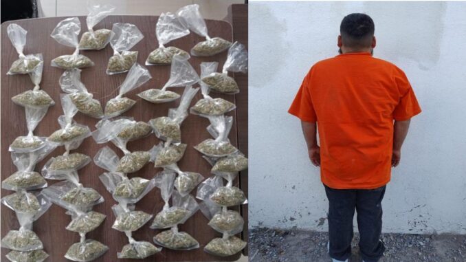 Elementos de la Secretaría de Seguridad Pública Municipal de Aguascalientes (SSPM) detienen a un presunto distribuidor de hierba verde seca con las características de la marihuana, en posesión de 37 envoltorios de la misma