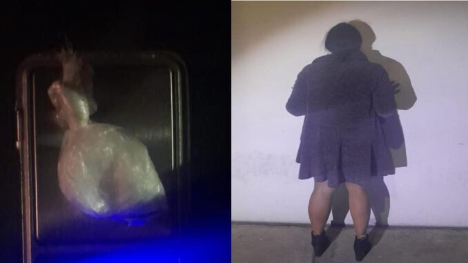 En Villas de Nuestra Señora de la Asunción, una persona del sexo femenino fue detenida por Policías Municipales de Aguascalientes por el probable delito de posesión de sustancia granulada al tacto con las características propias del cristal