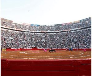 Jueza federal suspende corridas de toros en la Plaza México