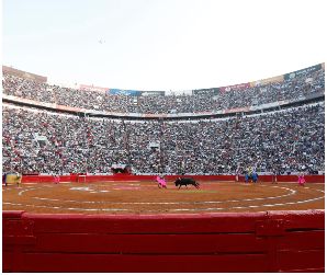 Jueza federal suspende corridas de toros en la Plaza México