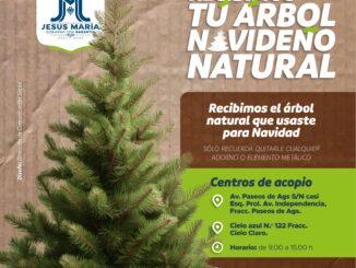 Disponibles Centros de Acopio para árboles de Navidad en Jesús María