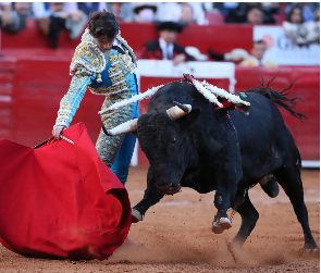 Jueza aplaza posible suspensión de corridas de toros en la Plaza México