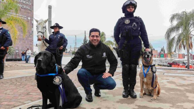 Jubilan con Honores por años de servicio a ejemplares caninos y equinos de la Policía Municipal