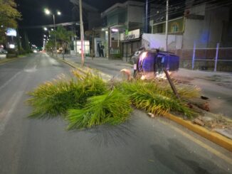 Policías Viales de Aguascalientes atienden reporte de volcadura que se registró sobre Bulevard Luis Donaldo Colosio