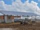 Ganaderos podrán acceder a apoyos para la instalación de Paneles Solares: Tere Jiménez