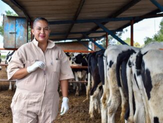 Gobernadora Tere Jiménez acerca servicios veterinarios gratuitos a productores ganaderos