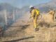 Alerta Protección Civil Municipal de Aguascalientes por temporada de incendios de pasto y forestales 2024